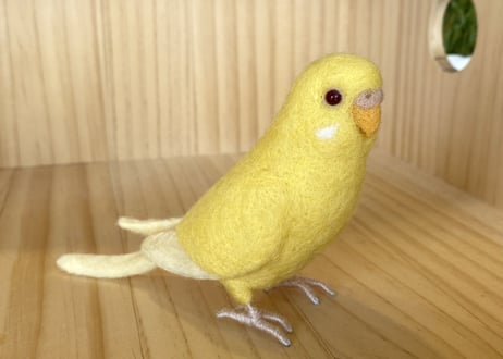 お客様専用約1／2サイズセキセイインコルチノー