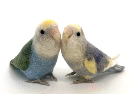 お客様専用約1/2サイズコザクラインコ×2