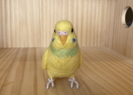 お客様専用約1/2サイズセキセイインコ2体