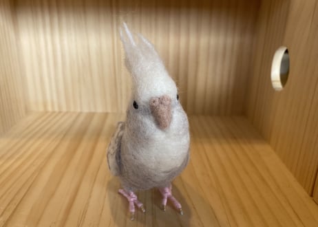 ちゅんた様専用約1/2サイズ＋ガラスドーム＋ピーナッツオカメインコ