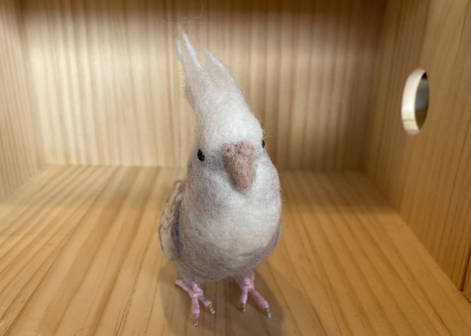 62a2873805362409b8d06edd