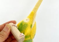 お客様専用パーチセキセイインコ