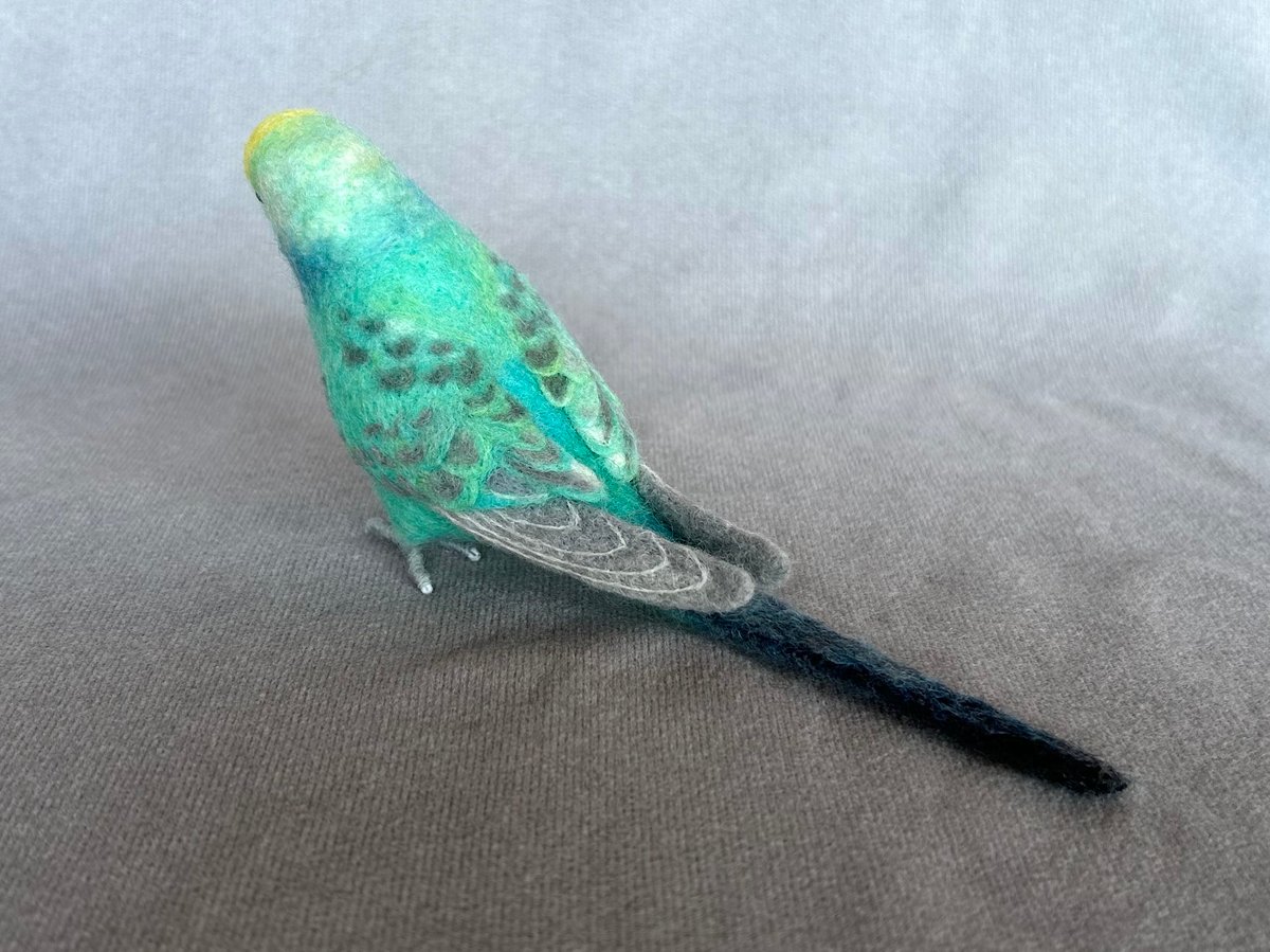 リアルサイズセキセイインコ | TinyBooBoo