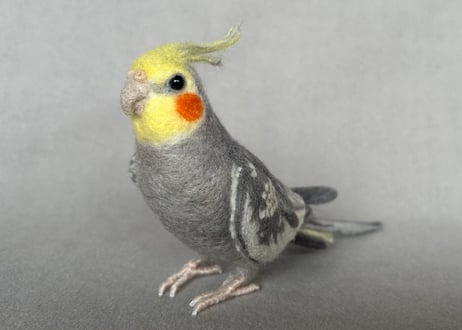 約1/2サイズ中型オカメインコ&コガネメキシコインコ