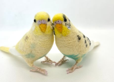 お客様専用約1/2サイズセキセイインコ×2