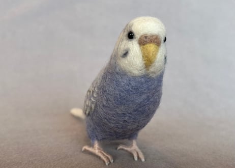 セキセイインコリアルタイプ＋ピーナッツ