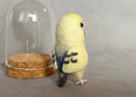 お客様専用ガラスドームタイプセキセイインコ
