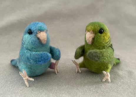 おすわりサザナミインコ