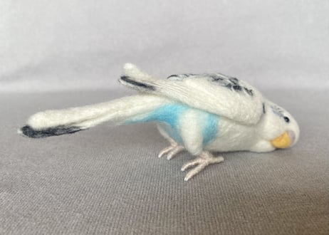 お客様専用約1/2サイズ&ピーナッツセキセイインコ