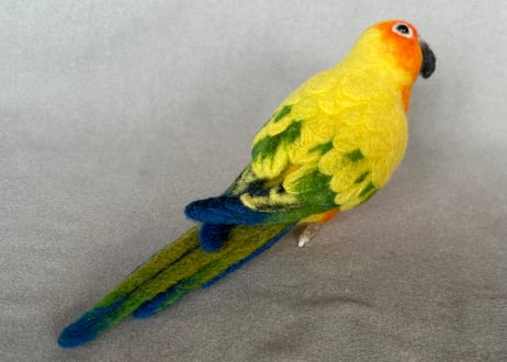約1/2サイズ中型オカメインコ&コガネメキシコインコ
