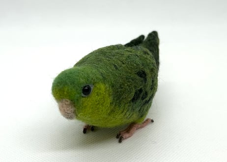 お客様専用約1/2サイズとおすわりサザナミインコ