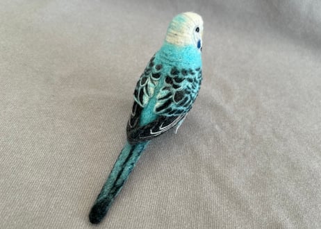 約1/2サイズセキセイインコ