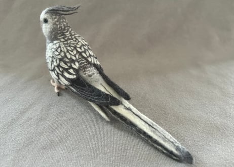 約1／2サイズオカメインコ