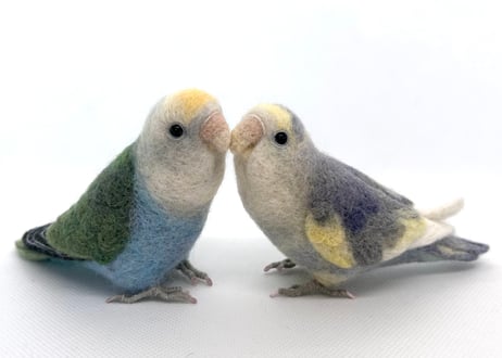 お客様専用約1/2サイズコザクラインコ×2