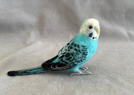 約1/2サイズセキセイインコ