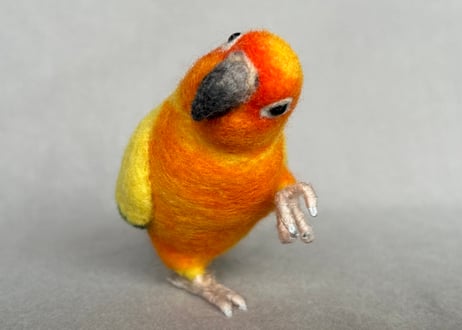 約1/2サイズ中型オカメインコ&コガネメキシコインコ
