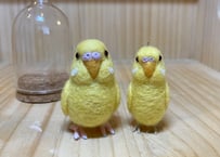 お客様専用ガラスドームタイプ＆ピーナッツセキセイインコ