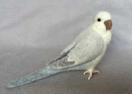 約1/2サイズオキナインコ