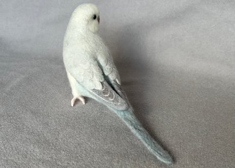 約1/2サイズオキナインコ