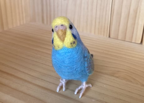 お客様専用約1/2サイズ&ピーナッツセキセイインコ
