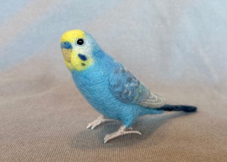 約1/2サイズセキセイインコ
