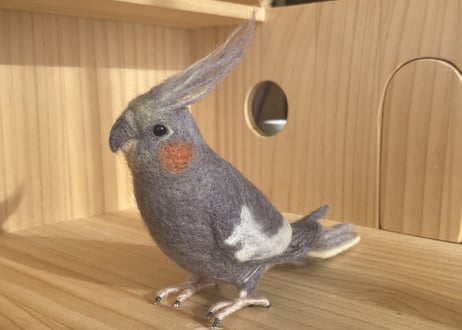 お客様専用約1/2サイズ＆ピーナッツオカメインコ