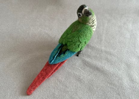 約1/2サイズウロコインコ＋ピーナッツ