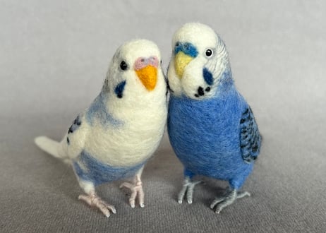 セキセイインコリアルサイズ