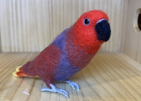 お客様専用ハルマヘラオオハナインコ＋アカエリゴシキセイガイインコ