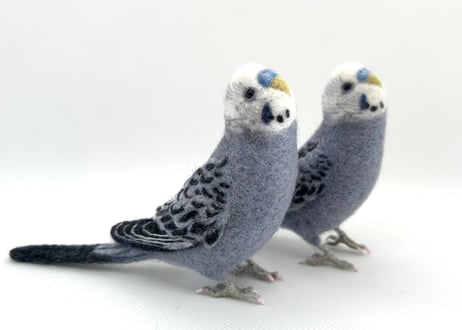 お客様専用約1/2サイズセキセイインコ