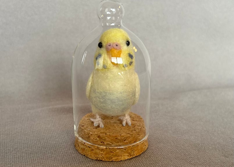 お客様専用ガラスドームタイプセキセイインコ | TinyBooBoo