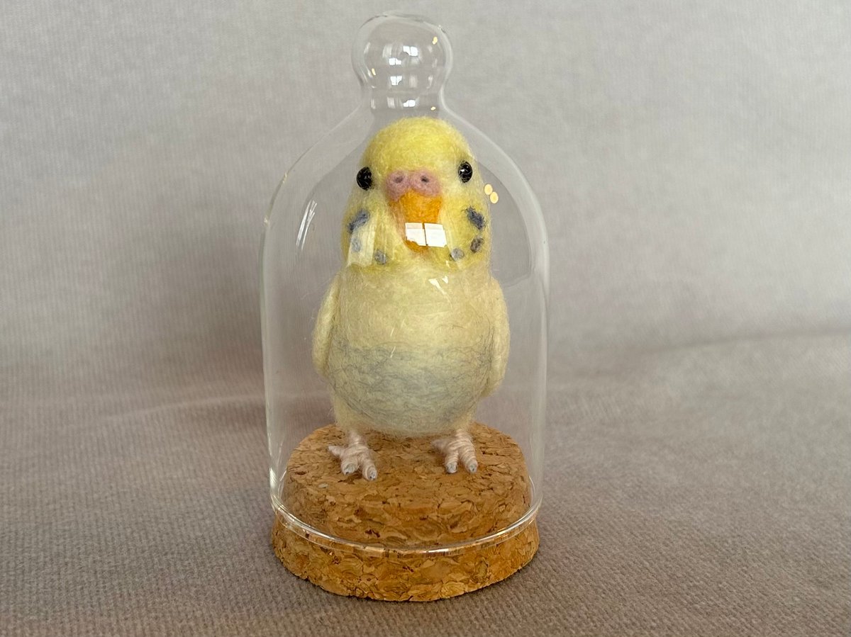 マイセン　インコ　プラーク　トニトコ　東さ7-0304☆2F マイセンインコプラークトニトコ東さ7-0304☆2F