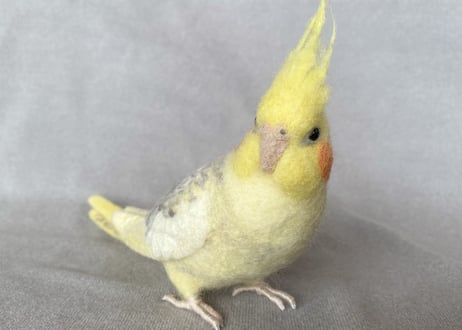 お客様専用約1/2サイズセキセイインコ&オカメインコ