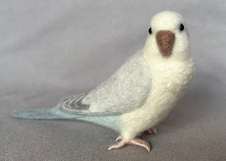 約1/2サイズオキナインコ