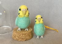 お客様専用セキセイインコガラスドーム＆ピーナッツ