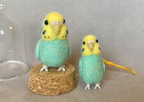 お客様専用セキセイインコガラスドーム＆ピーナッツ