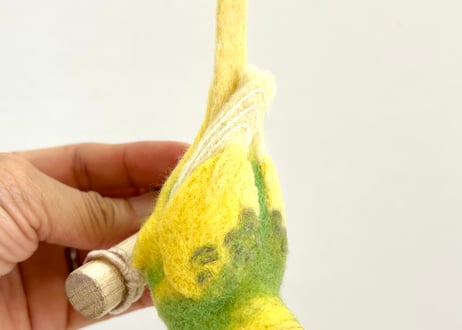 お客様専用パーチセキセイインコ