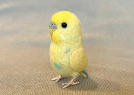 セキセイインコガラスドームタイプ