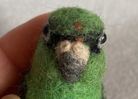お客様専用ガラスドームインコ