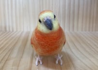 お客様専用約1/2サイズビセイインコ
