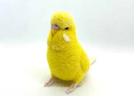 お客様専用約1/2サイズジャンボセキセイインコ