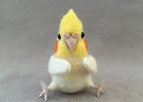 オカメルチノー、セキセイルチノー4点