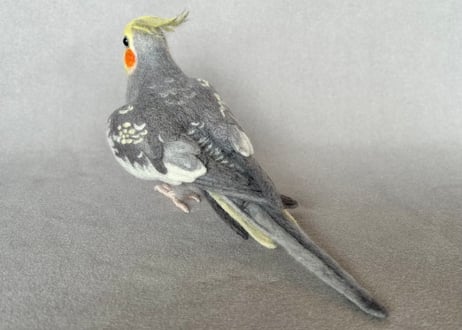 約1/2サイズ中型オカメインコ&コガネメキシコインコ