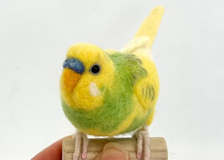 お客様専用パーチセキセイインコ