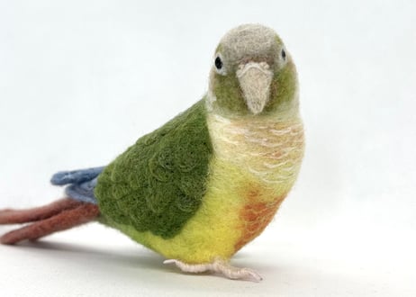 お客様専用約1/2サイズウロコインコ×2