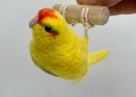 お客様専用パーチインコ2体