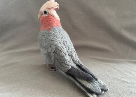 約1/2サイズ大型モモイロインコ
