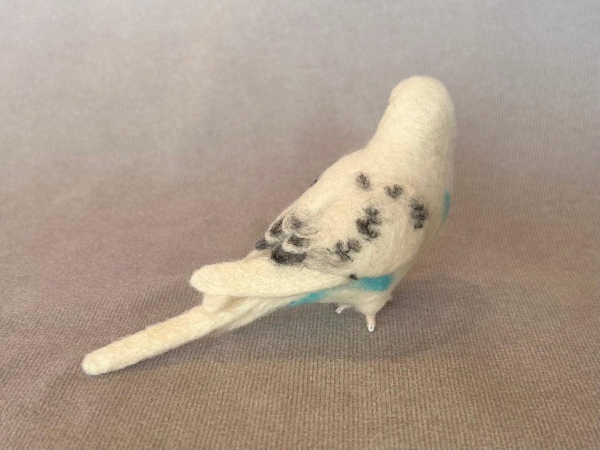 セキセイインコ約1/2サイズ＋おすわり | TinyBooBoo