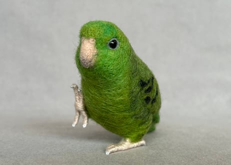 約1/2サイズサザナミインコ