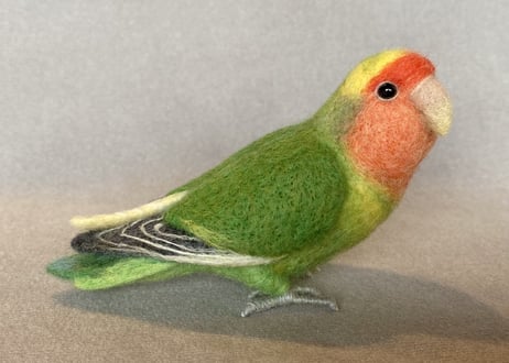 お客様専用約1/2サイズコザクラインコ×2